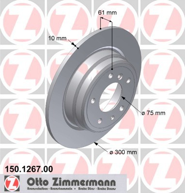 JARRULEVY TAKA (300X10MM) EI IX EI 540 (ZIMMERMANN) 