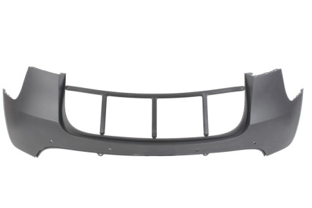 TAKAPUSKUR TESLA MODEL Y 01.20-